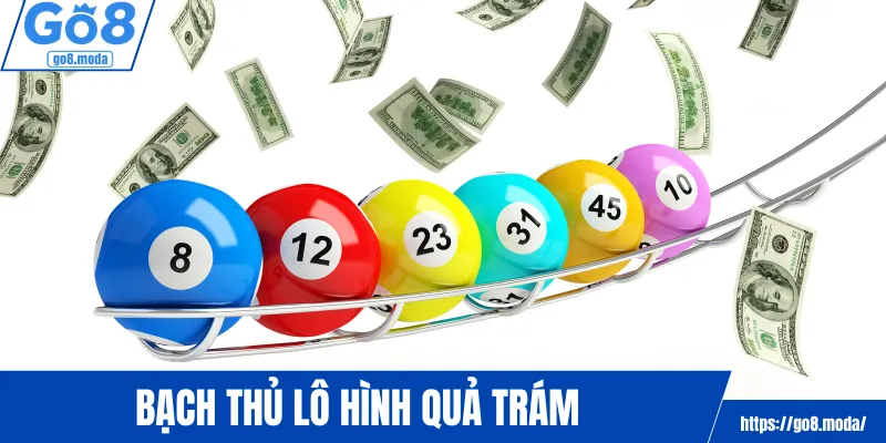 Bạch thủ lô hình quả trám