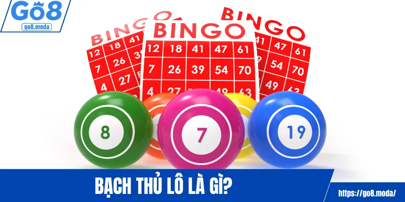 Bạch thủ lô là gì?