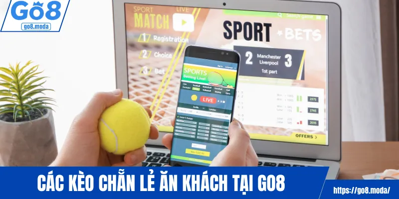 Các kèo chẵn lẻ ăn khách tại GO8