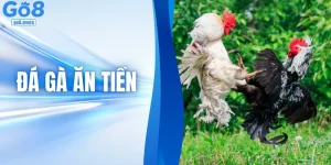 Bỏ Túi Bí Thuật Đá Gà Ăn Tiền Từ Các Sư Kê Lão Luyện Thomo