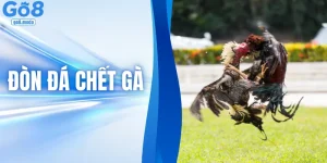 Giải Mã Những Đòn Đá Chết Gà - Bí Mật Của Chiến Kê Sát Thủ