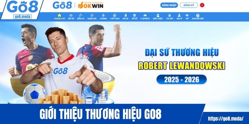 Giới thiệu GO8 - Thương hiệu cá cược hàng đầu Việt Nam