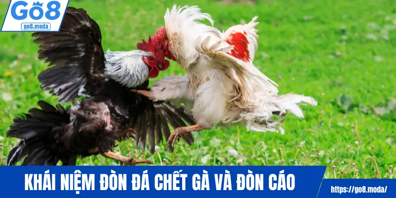 Khái niệm đòn đá chết gà và đòn cáo
