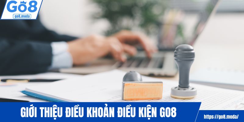 Khám phá thông tin điều khoản điều kiện GO8