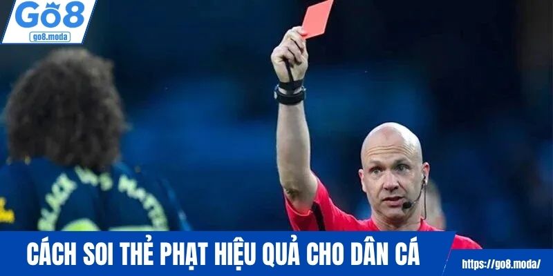 Mẹo cách soi thẻ phạt hiệu quả cho dân cá cược