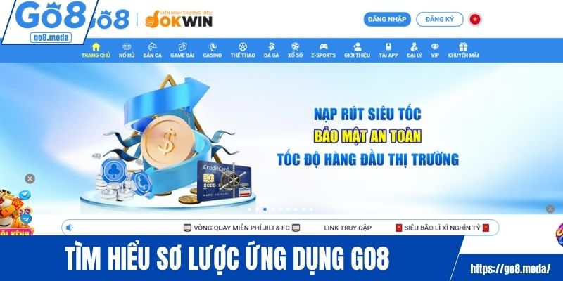 Tìm hiểu sơ lược ứng dụng GO8