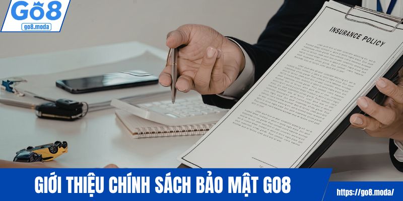 Tổng quan vài nét về chính sách bảo mật GO8