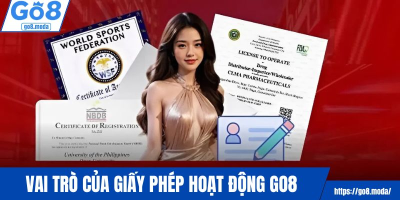 Vai trò không thể thiếu của giấy phép hoạt động GO8